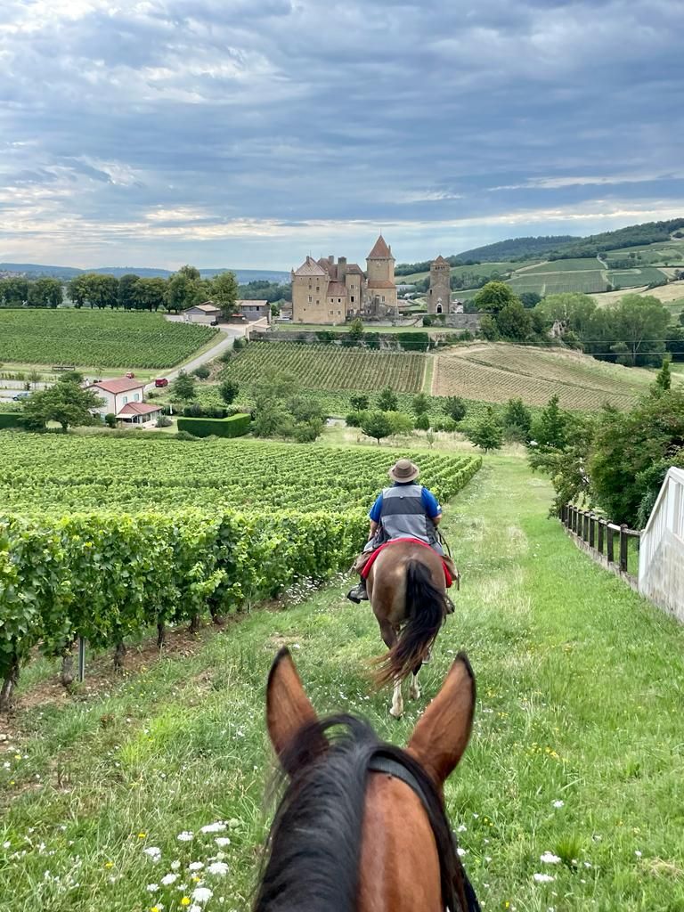 Randonnée équestre dans le terroir de Bourgogne