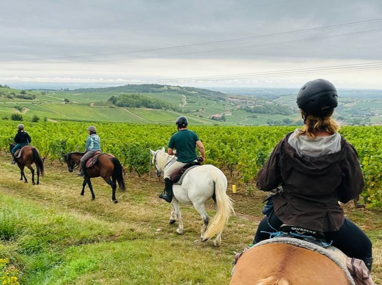 Randonnée équestre au coeur de la Bourgogne et de ses vignobles