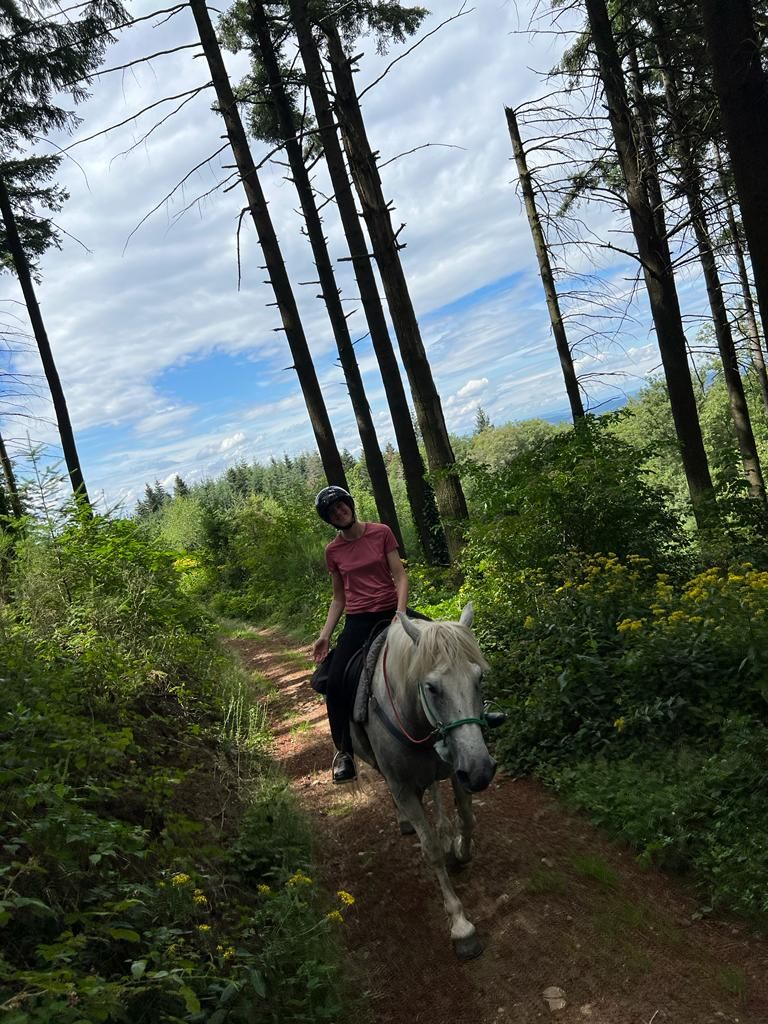 Randonnée à cheval à travers les vignobles de la Bourgogne